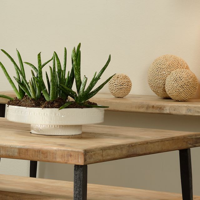 Volos White Ceramic Pedestal Bowl