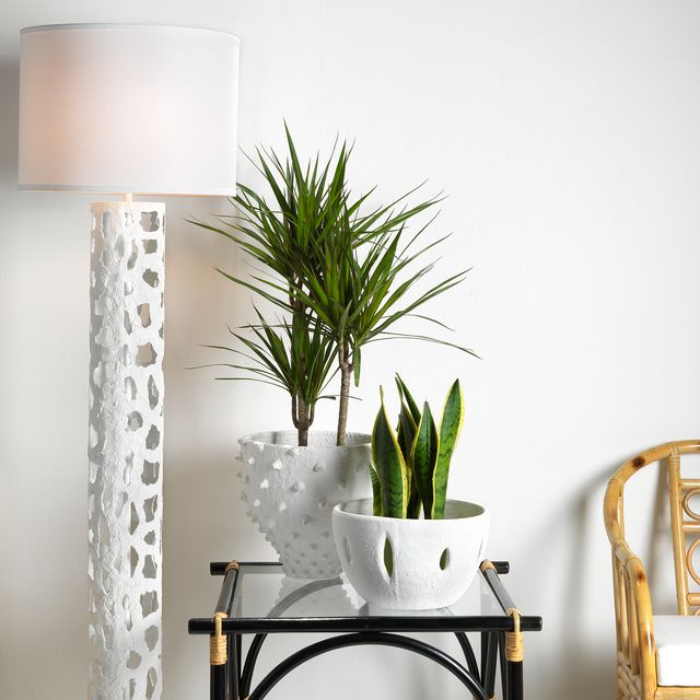 Paros Matte White Vase 12"