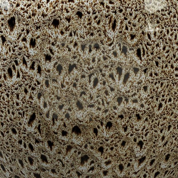 Borneo Ceramic Table Lamp