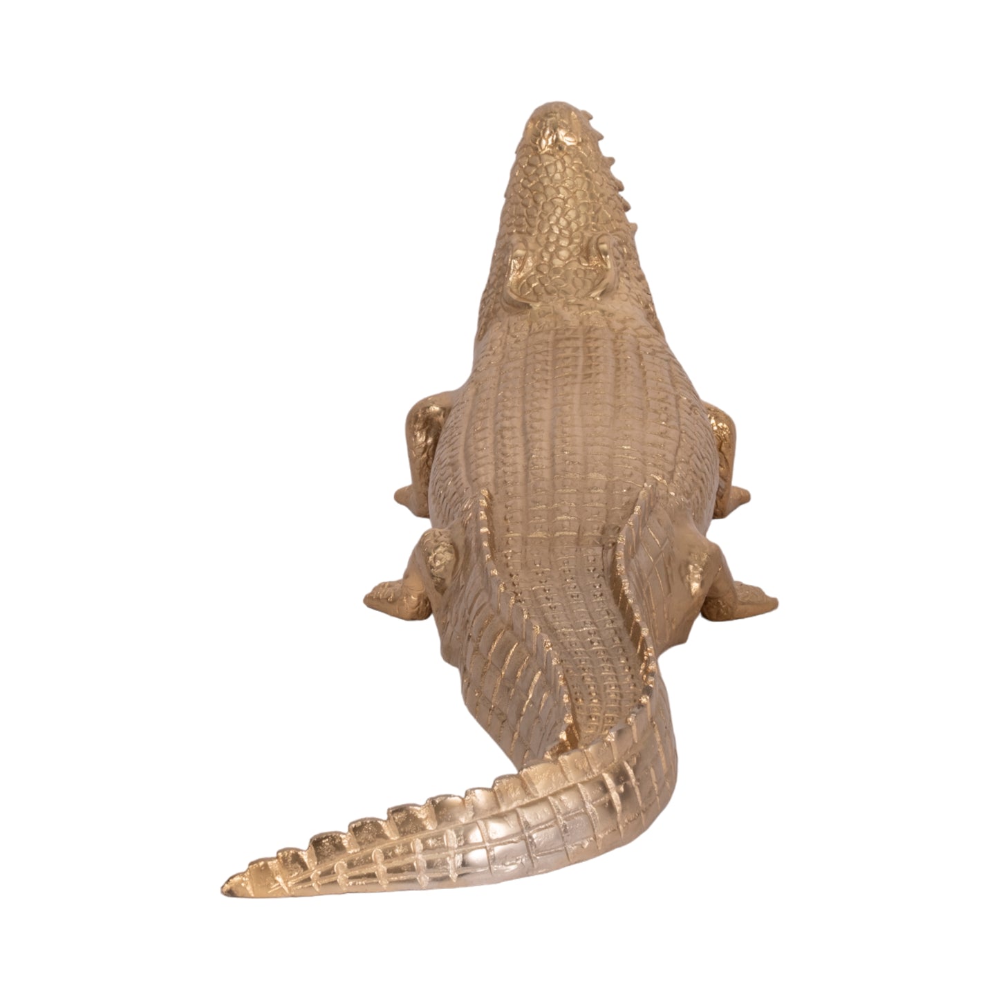 Golden Gator 3'