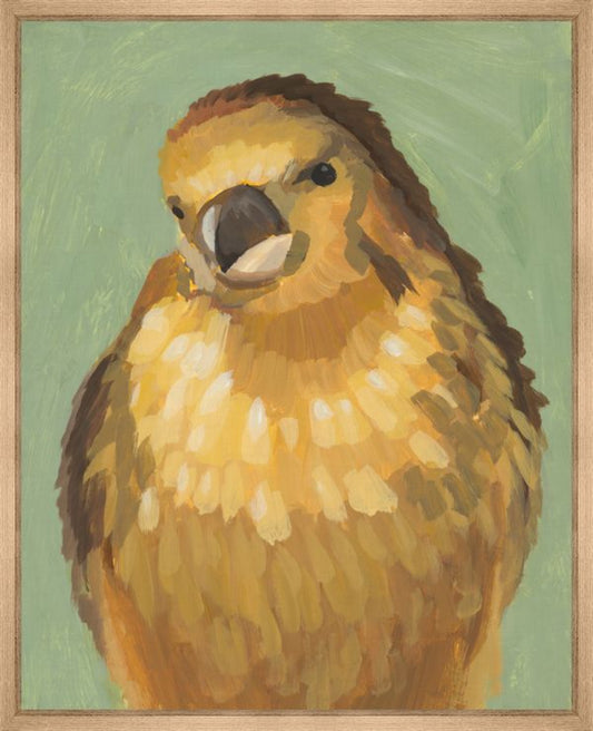 Grumpy Old Birds - Jim 24 x 30