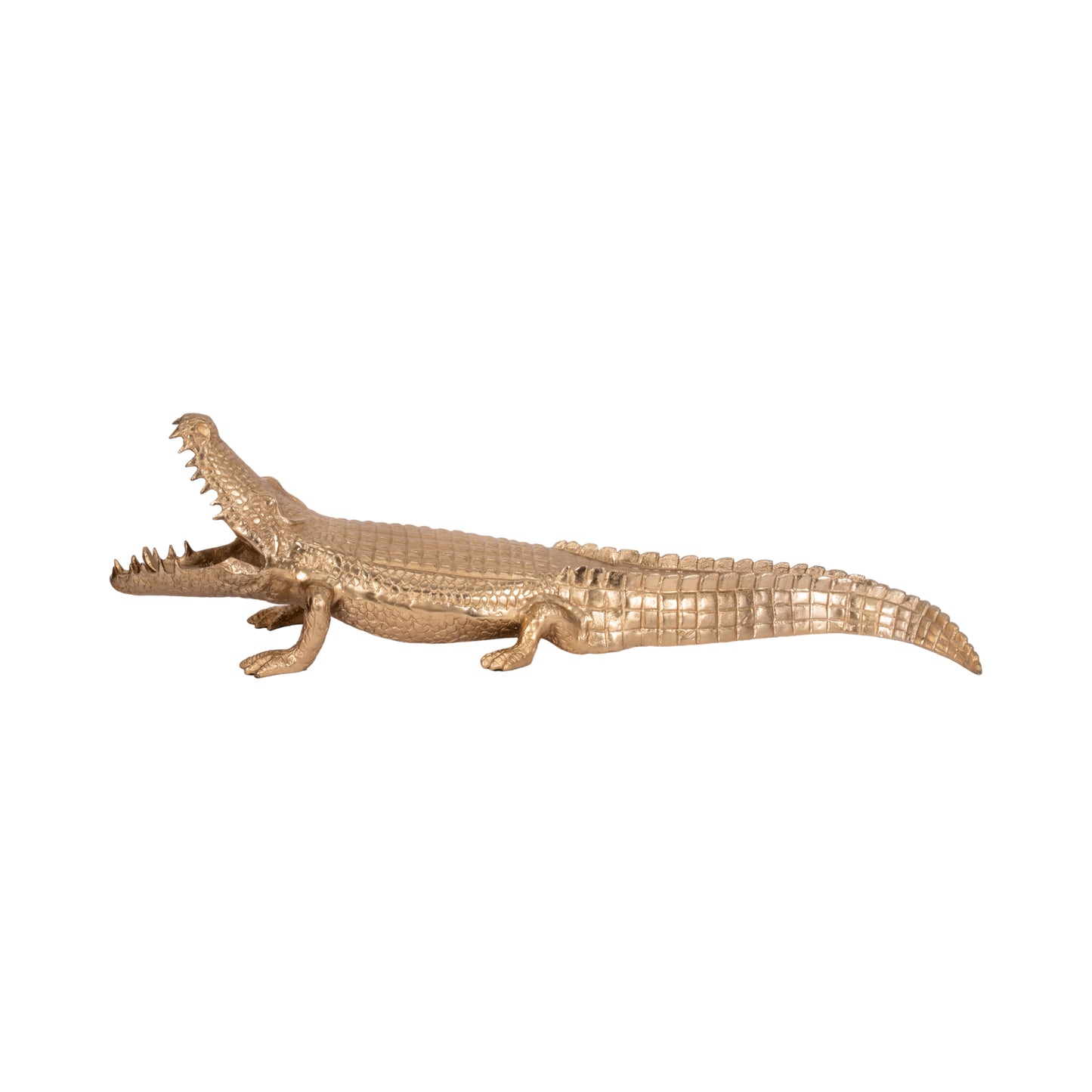 Golden Gator 3'